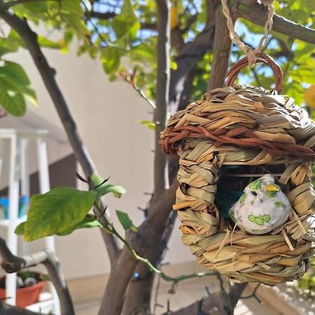 La Pigna Dell'Etna Διαμέρισμα Nicolosi Εξωτερικό φωτογραφία