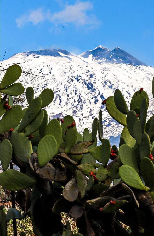 La Pigna Dell'Etna Διαμέρισμα Nicolosi Εξωτερικό φωτογραφία