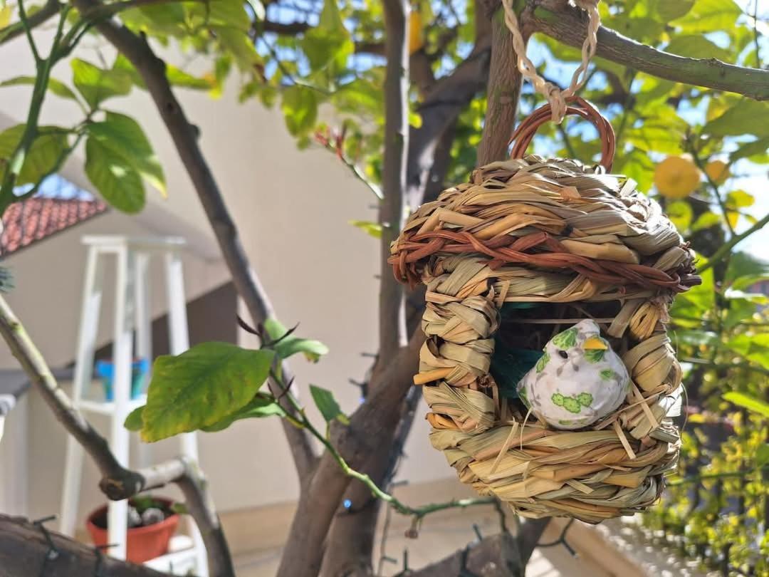 La Pigna Dell'Etna Διαμέρισμα Nicolosi Εξωτερικό φωτογραφία